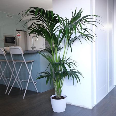 Vivienda Vacacional El Cabo バルベルデ エクステリア 写真